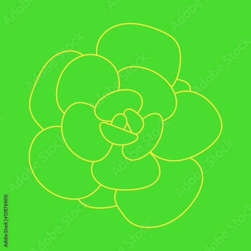 Desert flower for prints and designs, backgrounds. Cute pattern. Doodle Succulent Flower. 