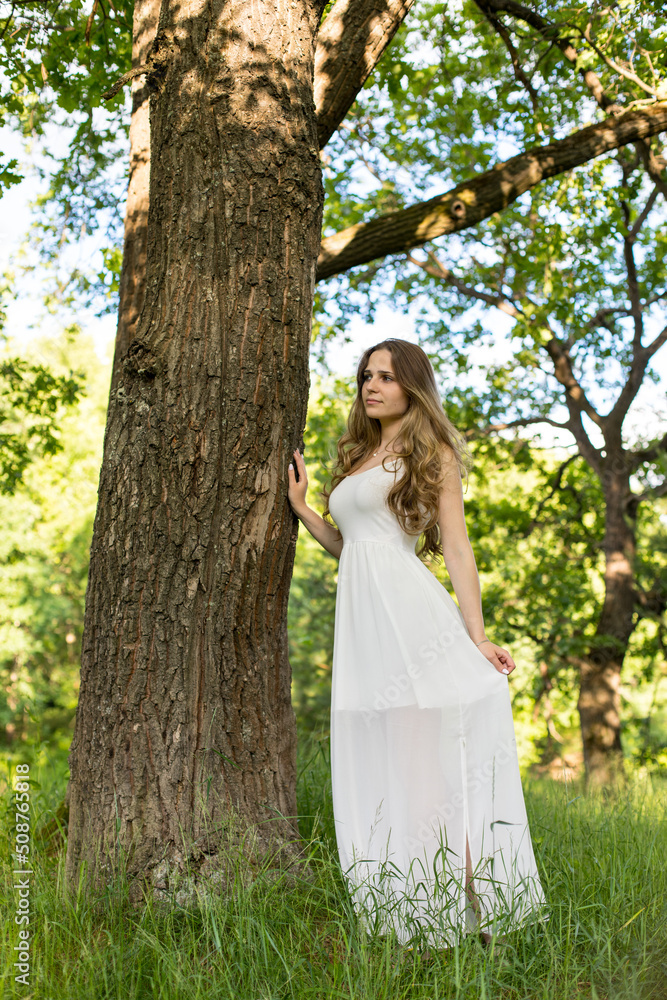 Beautiful young Russian girl dressed in a white dress, walks through the forest among the oaks in the rays of the sunset