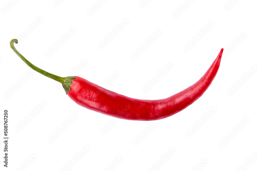 Ripe chili pepper isolated on a white background. Ripe chili pepper isolated on a white background.