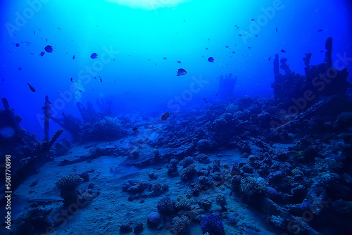 wreck diving thistelgorm  underwater adventure historical diving  treasure hunt