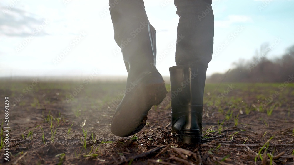 agriculture. man farmer in rubber a boots walk rain along road near a black  field. man