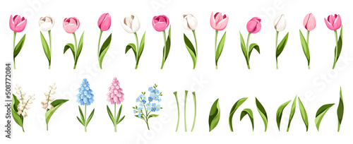 Set of spring flowers and leaves (pink, blue, and white tulips, hyacinth flowers, forget-me-not flowers, and lily of the valley flowers) isolated on a white background. Vector illustrations #508772084