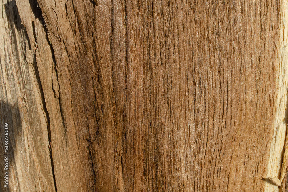 Texture brown wooden background with cracks. Horizontal wooden surface Texture brown wooden background with cracks. Horizontal wooden surface