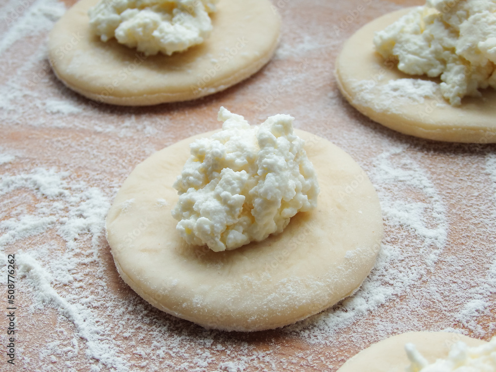 cooking. Dumplings with cheese. Ready for cooking dumplings with cottage cheese. cooking. Dumplings with cheese. Ready for cooking dumplings with cottage cheese.