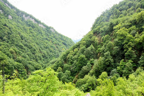 Kodori gorge, Abkhazia. Fresh green colors, spring season photo