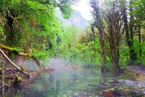 Fototapeta Naklejka Na Ścianę i Meble -  Crystal clear mountain river with waterfall at the Abkhazian forest, Kodori gorge