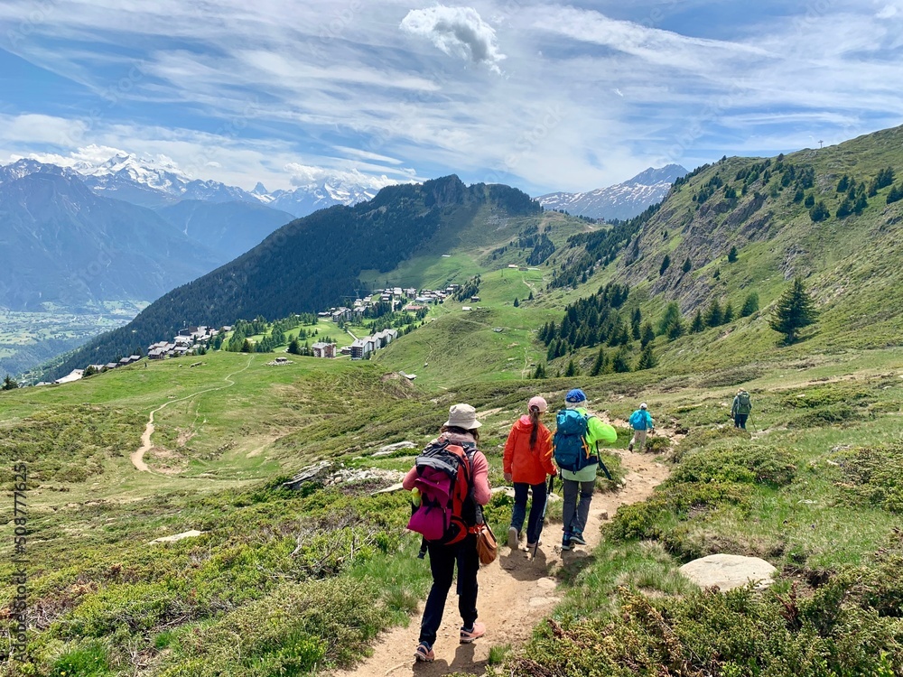 Wanderer / Wandergruppe wandern auf Fiescheralp nach Riederalp in der Aletsch Arena beim Aletschgletscher im Wallis - Berge Schweiz 
