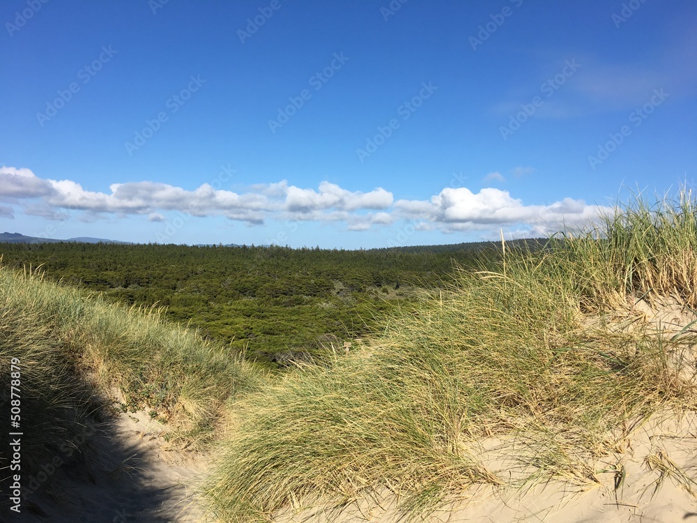Path through dunes