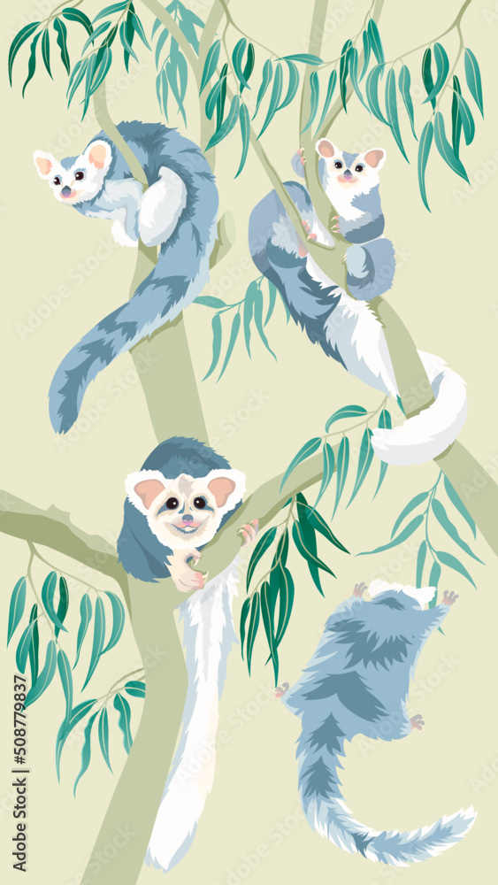 Southern greater gliders collection. Endangered and vulnerable large