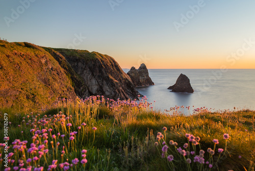 Foto The coast of Ceibwr in Pembrokeshire, Wales with pink sea thrift