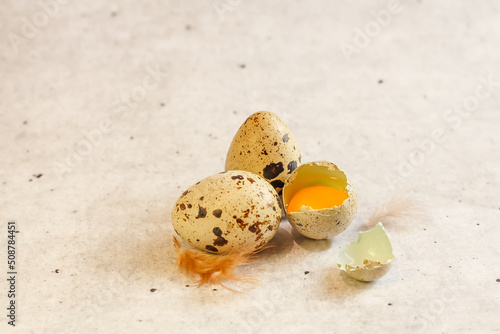 Quail eggs on a light background.Copy space