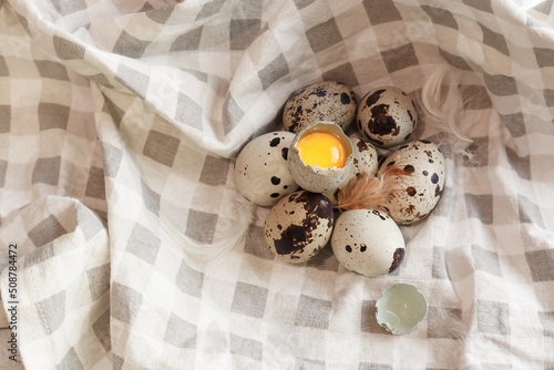 Quail eggs on a light background.Copy space