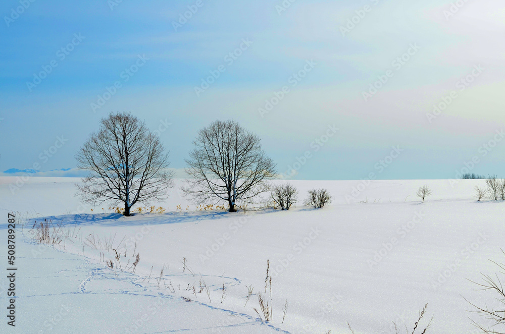 A family of four in winter A family of four in winter