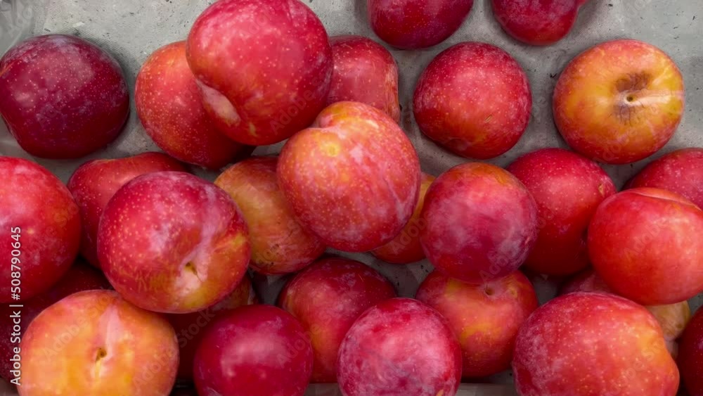 plum ripe fruit market counter fresh healthy meal food snack diet on the table copy space food background rustic top view keto or paleo diet veggie vegan or vegetarian food plum ripe fruit market counter fresh healthy meal food snack diet on the table copy space food background rustic top view keto or paleo diet veggie vegan or vegetarian food