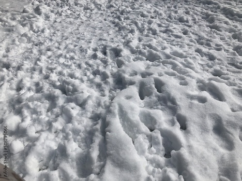 Footprints in the snow.