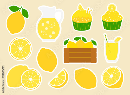 Fototapeta Naklejka Na Ścianę i Meble -  Set lemons fruits stickers printable