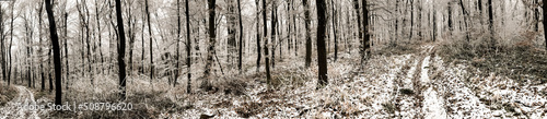 texture background