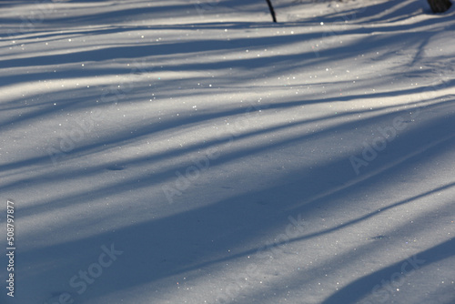雪野原に木の陰