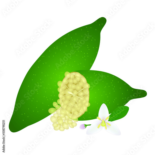 Whole finger lime and half with a flower on a white background.