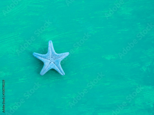 One blue starfish on aquamarine background with copy space