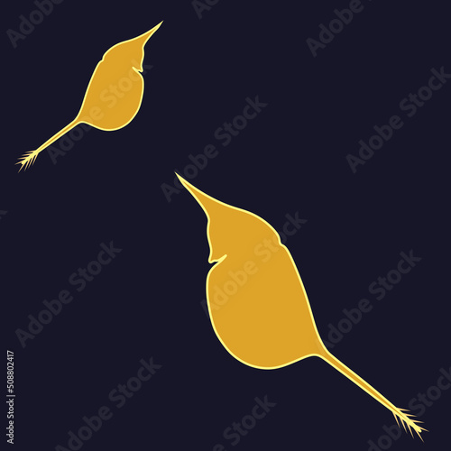 Vector of a water flea is a small group of zooplankton with a yellow cartoon drawing on black background photo