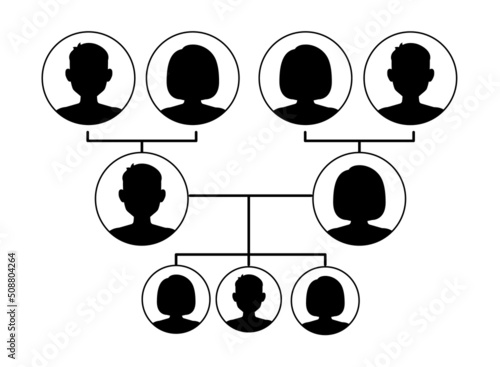 Family tree isolated on white background. Family silhouette genealogical tree. Avatars portraits in circular frames connected by lines. Vector stock