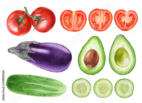 Watercolor vegetables isolated on white background. Eggplant, avocado, tomatoes, tomato cut, cucumber, cucumber slices.