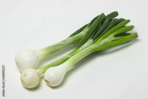 Fresh green onion on a black background. Useful vegetable.