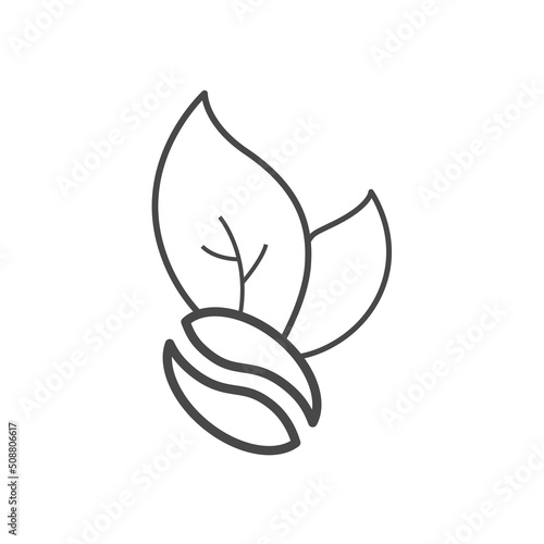 Vector linear icon with coffee bean