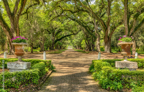 Rosedown Plantation, St Francisville Louisiana