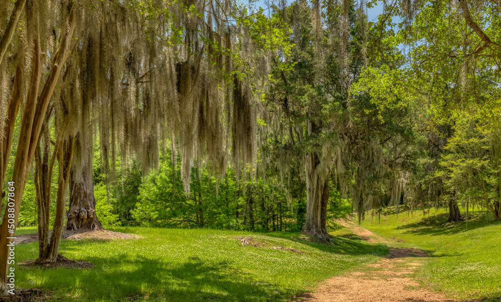 Fototapeta premium Rosedown Plantation, St Francisville Louisiana