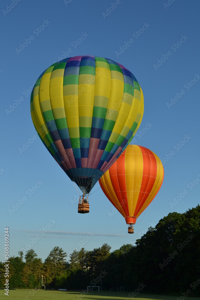 Colorful hot air balloons launching into the sky