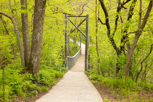 Foto A Swing Footbridge In The Woods During Spring