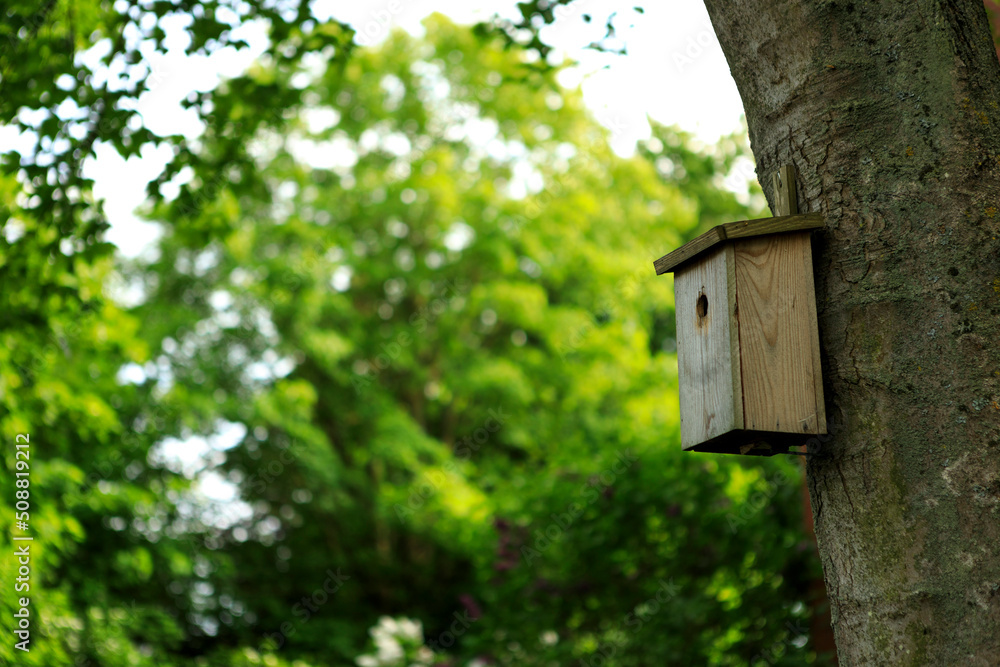 Wood Bird Home