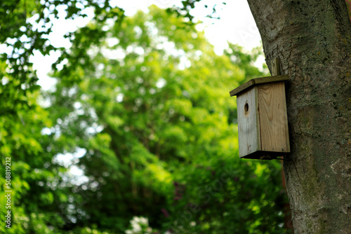 Wood Bird Home