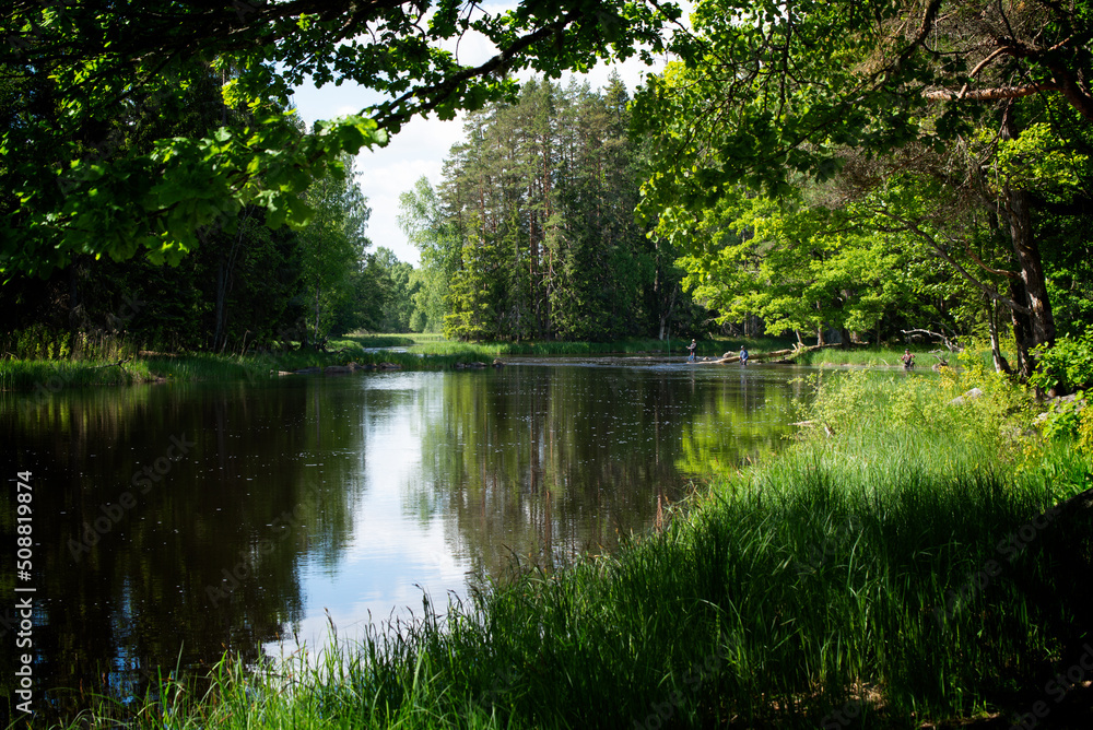 Swedish river and natural salmon area in spring. Färnebofjarden national park in north of Sweden. Swedish river and natural salmon area in spring. Färnebofjarden national park in north of Sweden.