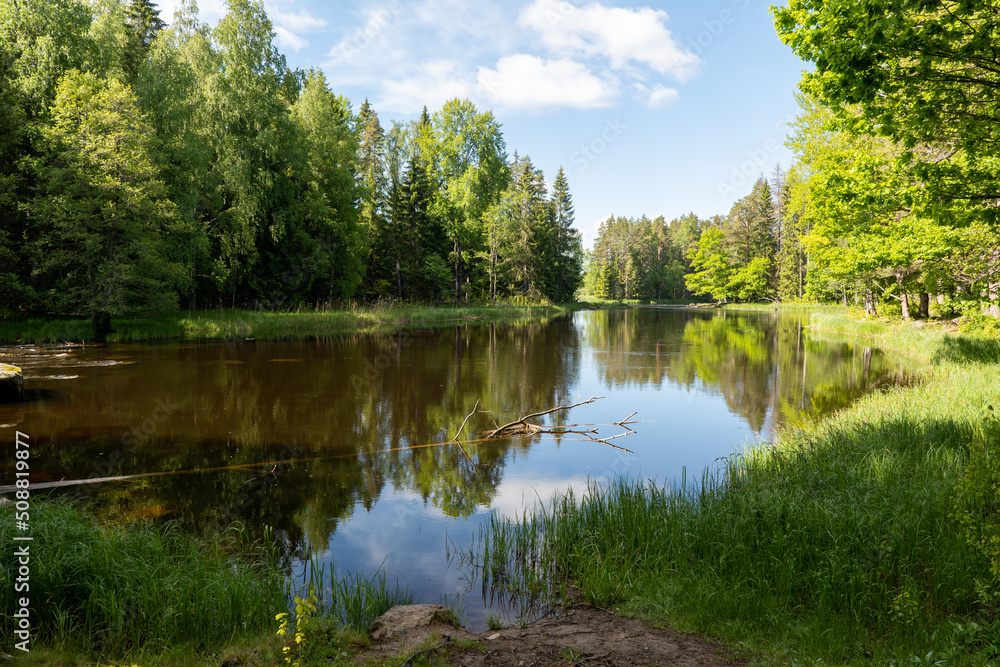 Swedish river and natural salmon area in spring. Färnebofjarden national park in north of Sweden. Swedish river and natural salmon area in spring. Färnebofjarden national park in north of Sweden.