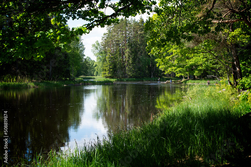 Swedish river and natural salmon area in spring. F  rnebofjarden national park in north of Sweden.