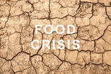 Food crisis. World hunger. Failed grain crops. Bread shortage. Drought and bad harvest. The global threat of famine to the whole world. Economic crisis.