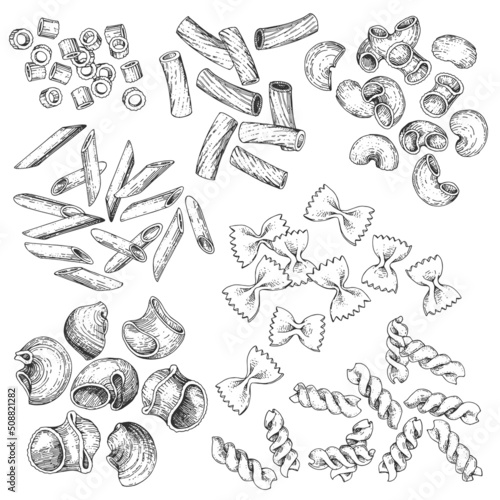 A collection of vector pasta of various varieties. Hand-drawn sketches. Vintage style engraving