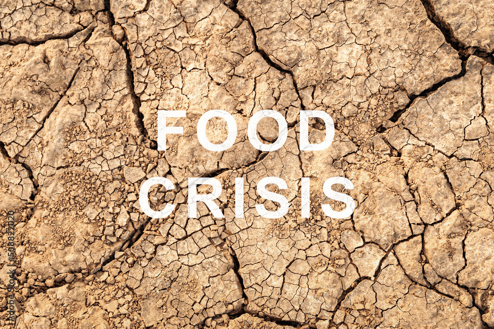 Food crisis. Failed grain crops. Bread shortage. World hunger. Drought