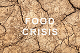 Food crisis. Failed grain crops. Bread shortage. World hunger. Drought and bad harvest. The global threat of hunger around the world. Dry land. Economic crisis.