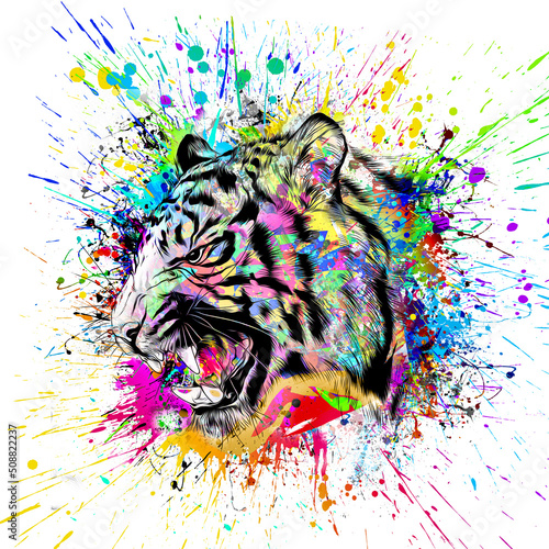 tiger head with creative co...
