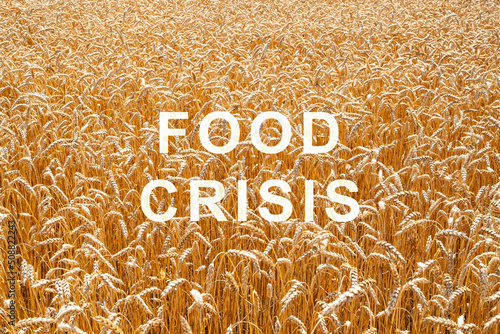 World Wheat Shortage Problem. Food crisis and crop failure. Military conflict between Ukraine and Russia. The threat of starvation to the entire planet. Economic crisis.