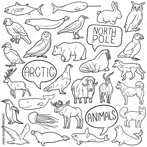 Arctic Animals Doodle Icons. Hand Made Line Art. Polar Clipart Logotype Symbol Design.