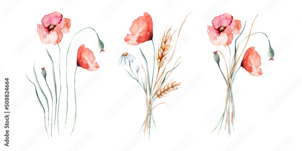 Watercolor wildflowers bouquets and frames with poppy, cornflower chamomile, rye and wheat spikelets background - obrazy, fototapety, plakaty 
