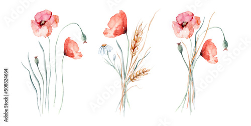 Watercolor wildflowers bouquets and frames with poppy, cornflower chamomile, rye and wheat spikelets background photo