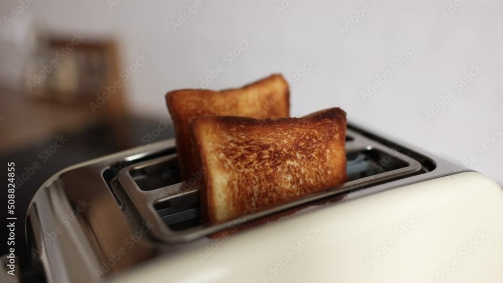 Roasted bread in white toaster. two delicious and toaster toasts. the process of frying toasts. Roasted bread in white toaster. two delicious and toaster toasts. the process of frying toasts.
