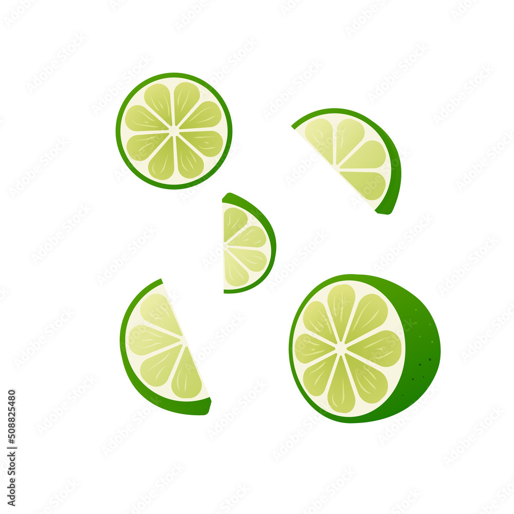 Lime vector illustration. Lime slices. Lemon.