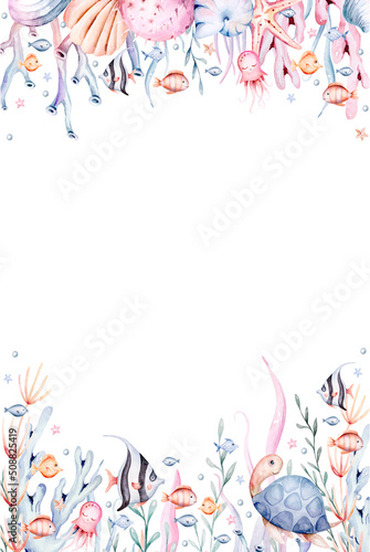 Photography Background with sea animals